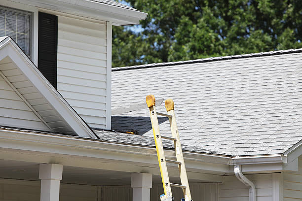 Historical Building Siding Restoration in Rogersville, MO